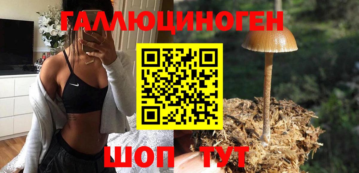 Псилоцибиновые грибы Psilocybe Миллерово